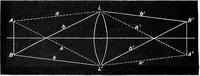 An illustration from Common objects of the microscope [electronic resource] (1900)