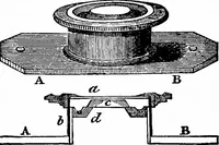 An illustration from Common objects of the microscope [electronic resource] (1900)