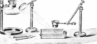 An illustration from Common objects of the microscope [electronic resource] (1900)