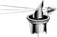 An illustration from Common objects of the microscope [electronic resource] (1900)