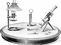 An illustration from Common objects of the microscope [electronic resource] (1900)