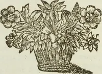 Picture 8 of 10 from Abbregé du procez... entre Maistre Itier François Chastelain... Chanoine de l'eglise de Paris, appelant comme d'abus contre les Doyen, chanoines et Chapitre de la dite Eglise (1652), leaf 106