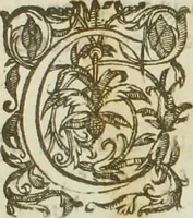 An illustration from Abbregé du procez... entre Maistre Itier François Chastelain... Chanoine de l'eglise de Paris, appelant comme d'abus contre les Doyen, chanoines et Chapitre de la dite Eglise (1652)
