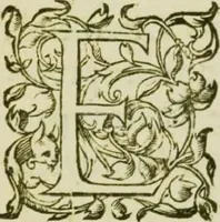 An illustration from Causes de la séparation de biens et d'habitation d'entre damoiselle Catherine Arnauld et Me Isaac Le Maistre son mary... et après sont imprimés les arrests intervenus entre lesdites parties... (1619)