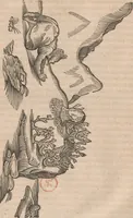 An illustration from Lapponia, id est, regionis Lapponum... descriptio (1673)