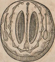 Picture 12 of 33 from Lapponia, id est, regionis Lapponum... descriptio (1673), leaf 150