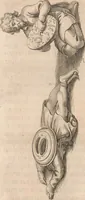 An illustration from Histoire de la Laponie : sa description... (1678)