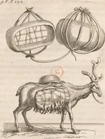 An illustration from Histoire de la Laponie : sa description... (1678)