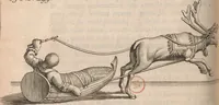 An illustration from Histoire de la Laponie : sa description... (1678)