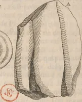 An illustration from Histoire de la Laponie : sa description... (1678)