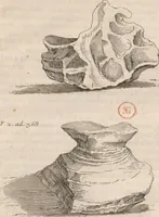 An illustration from Histoire de la Laponie : sa description... (1678)