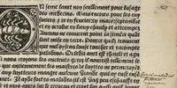 Picture 5 of 27 from Platine en françoys, tres utile et necessaire pour le corps humain, qui traicte de honneste volupte et de toutes viandes et choses que lhomme mange : quelles vertus ont : et en quoy nuysent ou prouffitent au corps humain et comment se doyvent apprester ou appareiller : et de faire a chascune dicelles viandes soit chair ou poisson sa propre sausce : et des proprietez et vertus que ont lesdictes viandes. Et du lieu et place convenable a lhomme pour habiter : et de plusieurs aultres gentillesses parquoy lhomme se peult maintenir en prosperite et sante sans avoir grant indigence davoir aultre medecin sil est homme de raison. (1519), leaf 132