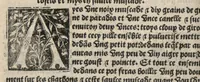 Picture 11 of 27 from Platine en françoys, tres utile et necessaire pour le corps humain, qui traicte de honneste volupte et de toutes viandes et choses que lhomme mange : quelles vertus ont : et en quoy nuysent ou prouffitent au corps humain et comment se doyvent apprester ou appareiller : et de faire a chascune dicelles viandes soit chair ou poisson sa propre sausce : et des proprietez et vertus que ont lesdictes viandes. Et du lieu et place convenable a lhomme pour habiter : et de plusieurs aultres gentillesses parquoy lhomme se peult maintenir en prosperite et sante sans avoir grant indigence davoir aultre medecin sil est homme de raison. (1519), leaf 223