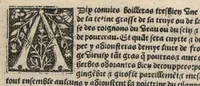 An illustration from Platine en françoys, tres utile et necessaire pour le corps humain, qui traicte de honneste volupte et de toutes viandes et choses que lhomme mange : quelles vertus ont : et en quoy nuysent ou prouffitent au corps humain et comment se doyvent apprester ou appareiller : et de faire a chascune dicelles viandes soit chair ou poisson sa propre sausce : et des proprietez et vertus que ont lesdictes viandes. Et du lieu et place convenable a lhomme pour habiter : et de plusieurs aultres gentillesses parquoy lhomme se peult maintenir en prosperite et sante sans avoir grant indigence davoir aultre medecin sil est homme de raison. (1519)
