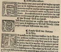Picture 18 of 27 from Platine en françoys, tres utile et necessaire pour le corps humain, qui traicte de honneste volupte et de toutes viandes et choses que lhomme mange : quelles vertus ont : et en quoy nuysent ou prouffitent au corps humain et comment se doyvent apprester ou appareiller : et de faire a chascune dicelles viandes soit chair ou poisson sa propre sausce : et des proprietez et vertus que ont lesdictes viandes. Et du lieu et place convenable a lhomme pour habiter : et de plusieurs aultres gentillesses parquoy lhomme se peult maintenir en prosperite et sante sans avoir grant indigence davoir aultre medecin sil est homme de raison. (1519), leaf 297