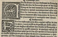 Picture 23 of 27 from Platine en françoys, tres utile et necessaire pour le corps humain, qui traicte de honneste volupte et de toutes viandes et choses que lhomme mange : quelles vertus ont : et en quoy nuysent ou prouffitent au corps humain et comment se doyvent apprester ou appareiller : et de faire a chascune dicelles viandes soit chair ou poisson sa propre sausce : et des proprietez et vertus que ont lesdictes viandes. Et du lieu et place convenable a lhomme pour habiter : et de plusieurs aultres gentillesses parquoy lhomme se peult maintenir en prosperite et sante sans avoir grant indigence davoir aultre medecin sil est homme de raison. (1519), leaf 311