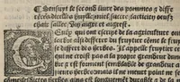Picture 1 of 27 from Platine en françoys, tres utile et necessaire pour le corps humain, qui traicte de honneste volupte et de toutes viandes et choses que lhomme mange : quelles vertus ont : et en quoy nuysent ou prouffitent au corps humain et comment se doyvent apprester ou appareiller : et de faire a chascune dicelles viandes soit chair ou poisson sa propre sausce : et des proprietez et vertus que ont lesdictes viandes. Et du lieu et place convenable a lhomme pour habiter : et de plusieurs aultres gentillesses parquoy lhomme se peult maintenir en prosperite et sante sans avoir grant indigence davoir aultre medecin sil est homme de raison. (1519), leaf 47