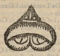 Picture 28 of 28 from Le Grand routier, pilotage et encrage de mer, tant des parties de France, Bretaigne, Angleterre que haultes Alemaignes... revueu et corrigé (1571), leaf 104