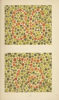 An illustration from Stillings pseudo-isochromatische Tafeln zur Prüfung des Farbensinnes (1922)