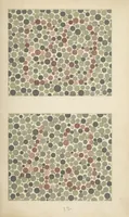 Picture 3 of 6 from Stillings pseudo-isochromatische Tafeln zur Prüfung des Farbensinnes (1922), leaf 34
