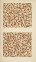 An illustration from Stillings pseudo-isochromatische Tafeln zur Prüfung des Farbensinnes (1922)