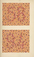 An illustration from Stillings pseudo-isochromatische Tafeln zur Prüfung des Farbensinnes (1922)