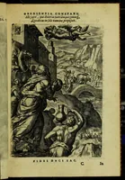 Picture 9 of 72 from Humanae salutis monumenta (1583), leaf 25