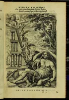 Picture 11 of 72 from Humanae salutis monumenta (1583), leaf 29