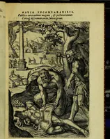 Picture 14 of 72 from Humanae salutis monumenta (1583), leaf 35
