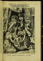 Picture 38 of 72 from Humanae salutis monumenta (1583), leaf 87