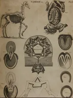 An illustration from A dictionary of arts and sciences (Volume 2) (1815)