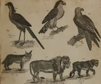 An illustration from A dictionary of arts and sciences (Volume 2) (1815)