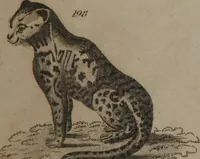 An illustration from A dictionary of arts and sciences (Volume 2) (1815)