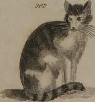 An illustration from A dictionary of arts and sciences (Volume 2) (1815)