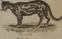 An illustration from A dictionary of arts and sciences (Volume 2) (1815)