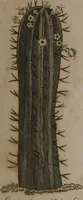 Picture 6 of 97 from A dictionary of arts and sciences (Volume 2) (1815), leaf 898