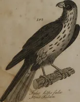 An illustration from A dictionary of arts and sciences (Volume 2) (1815)
