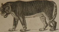 An illustration from A dictionary of arts and sciences (Volume 2) (1815)