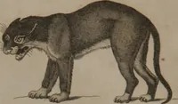An illustration from A dictionary of arts and sciences (Volume 2) (1815)