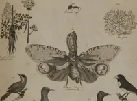 An illustration from A dictionary of arts and sciences (Volume 2) (1815)