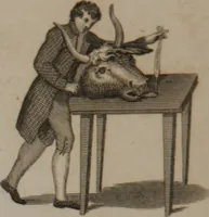 Picture 20 of 97 from A dictionary of arts and sciences (Volume 2) (1815), leaf 906