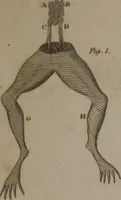 An illustration from A dictionary of arts and sciences (Volume 2) (1815)