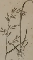 An illustration from A dictionary of arts and sciences (Volume 2) (1815)