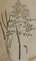 Picture 39 of 97 from A dictionary of arts and sciences (Volume 2) (1815), leaf 922
