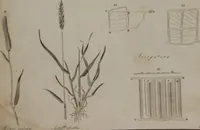 Picture 42 of 97 from A dictionary of arts and sciences (Volume 2) (1815), leaf 922