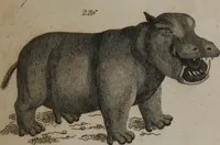An illustration from A dictionary of arts and sciences (Volume 2) (1815)
