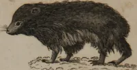 An illustration from A dictionary of arts and sciences (Volume 2) (1815)