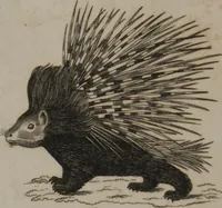 Picture 53 of 97 from A dictionary of arts and sciences (Volume 2) (1815), leaf 932