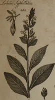 Picture 74 of 97 from A dictionary of arts and sciences (Volume 2) (1815), leaf 952