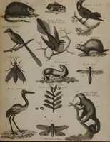 An illustration from A dictionary of arts and sciences (Volume 2) (1815)